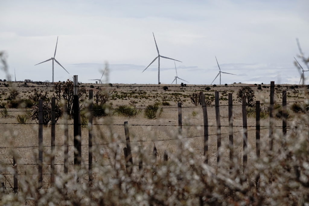 FILE PHOTO: A general view of GE Renewable Energy wind turbines at the 324MW Clines Corner Wind Farm, part of Pattern Energy’s Western Spirit Wind project, the largest wind project in the U.S., near Encino, New Mexico, U.S., March 15, 2023. Photo by Bing Guan/Reuters