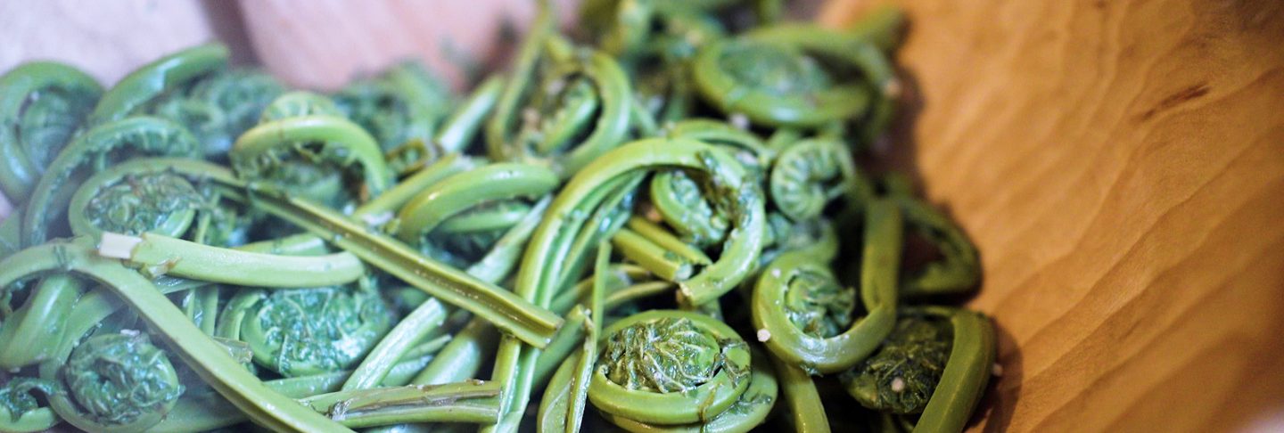 Fiddleheads