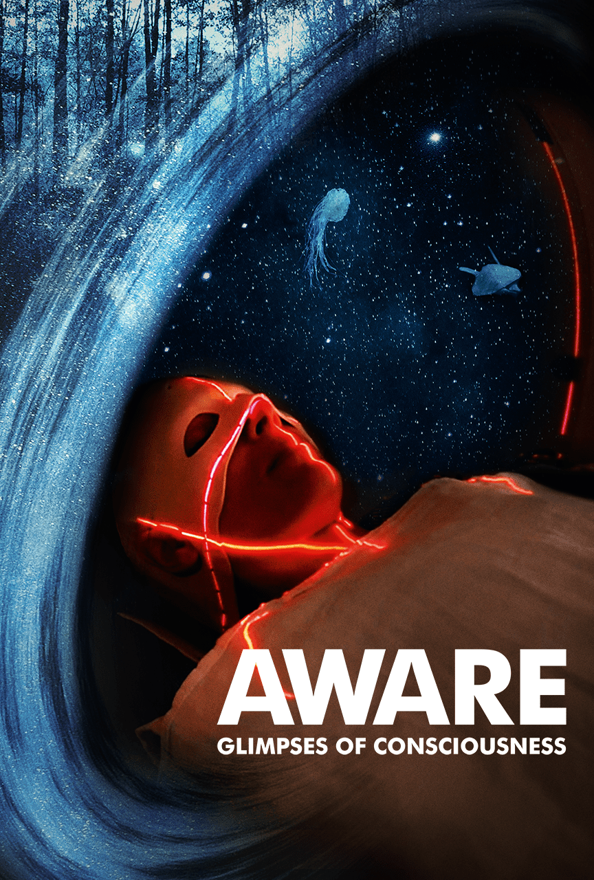 AWARE: Glimpses of Consciousness