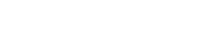 A Brief History of the Future